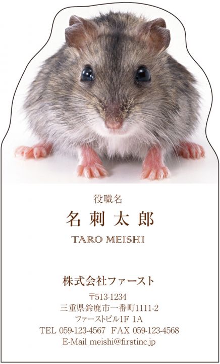 ハムスター