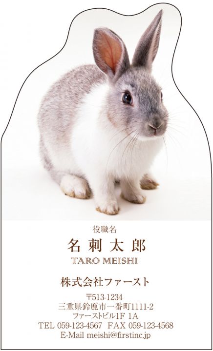 ラビット