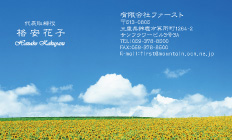 青空とヒマワリ畑