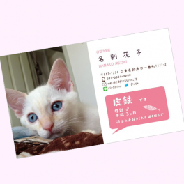 名刺を作成する時の豆知識やペット用の名刺について