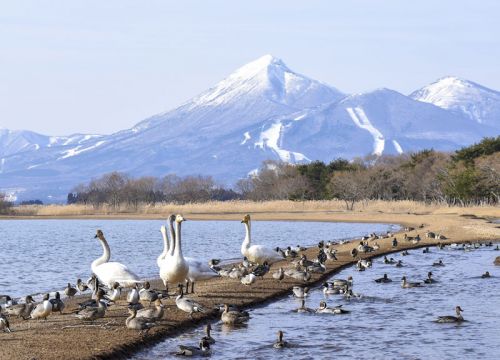 07_fukushima.jpg