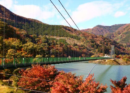 09_tochigi.jpg