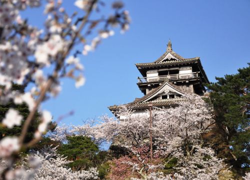18_fukui.jpg