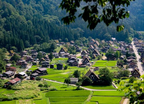 21_gifu.jpg