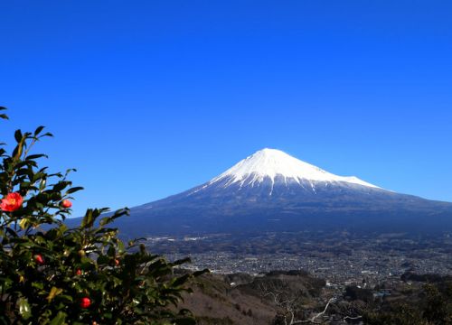 22_shizuoka.jpg